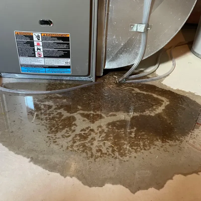 Appliance Leak Cleanup in Newton, MS